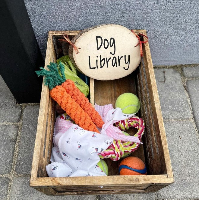 A kutyakönyvtárban különféle játékokat is elhelyezhetünk