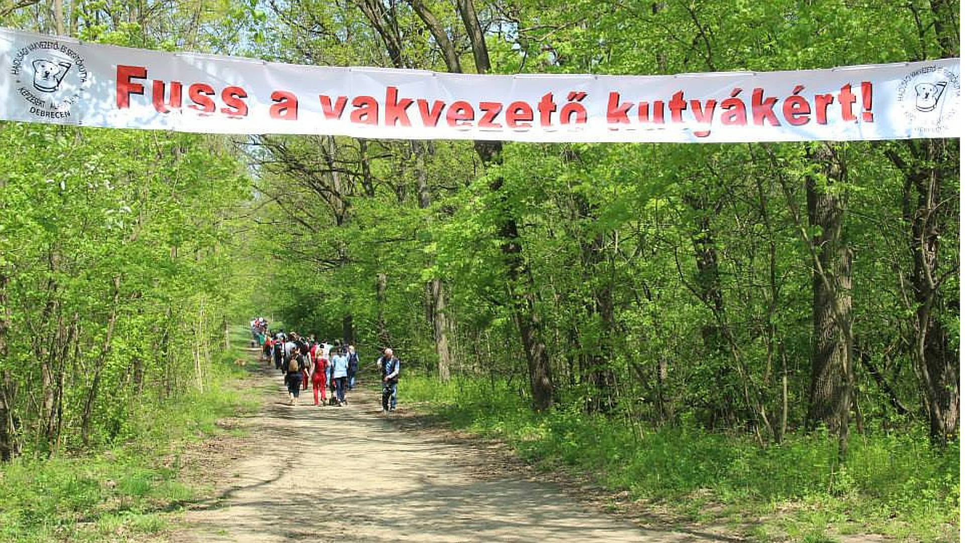  Fuss a vakvezető kutyákért!