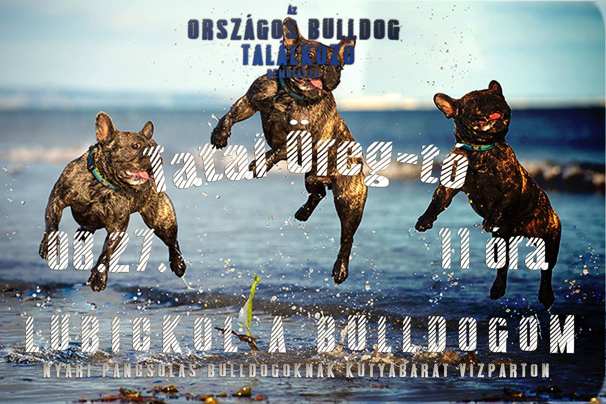 Lubickol a bulldogom - Tata Öreg-tó vízparty 2016.08.27