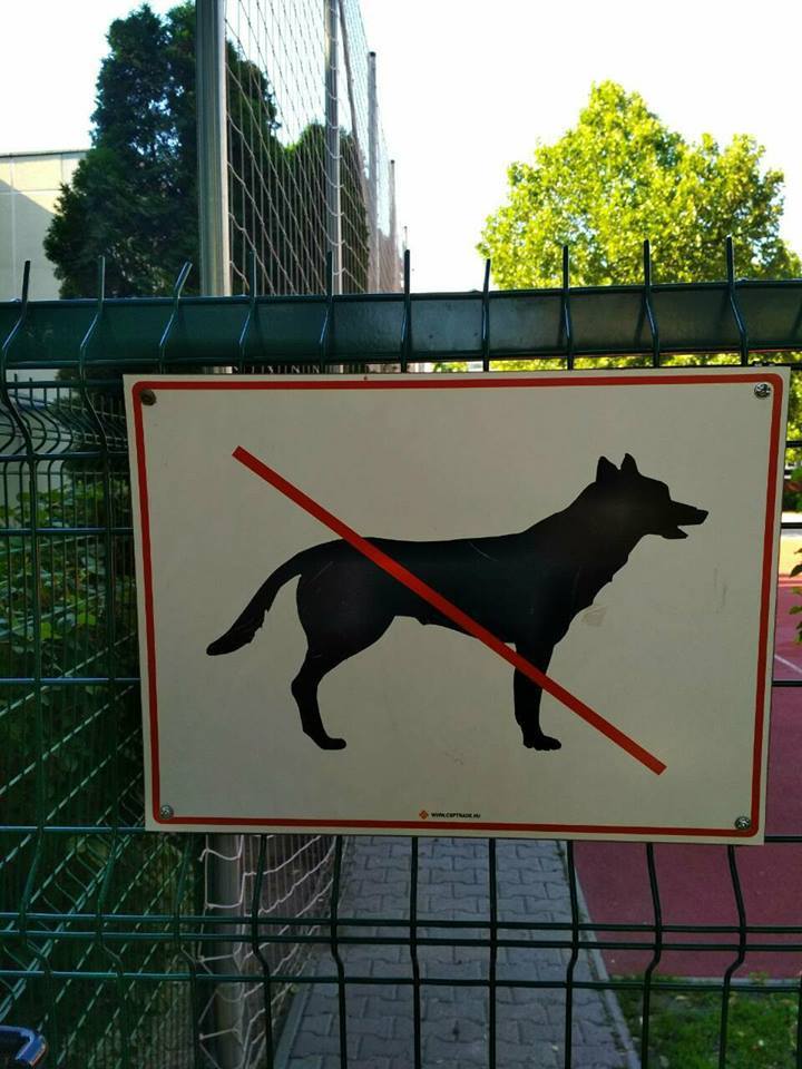 Az iskola nem szeretné, hogy kutyák sétáljanak egy közterületi füves részen? Az ugye nem értelmezhető, hogy kutyák ne járjanak emberi iskolába...