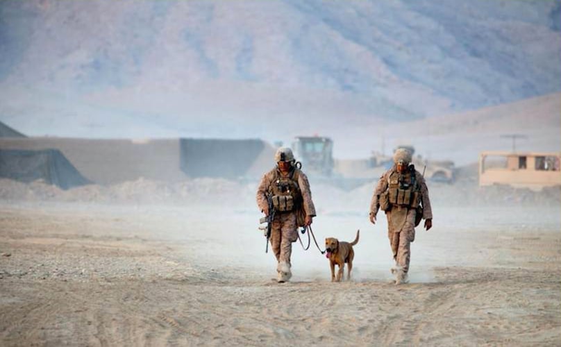 Amerikai katonák és egy szolgálati kutya