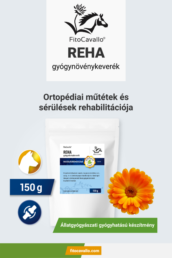 FitoCavallo REHA Gyógynövénykeverék