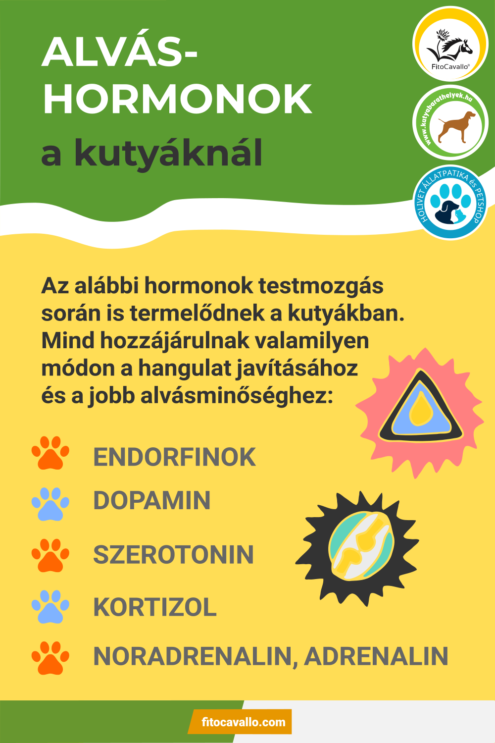 Mozgáshiány okozta nyugtalanság és alvászavar kutyáknál - Alváshormonok kutyáknál