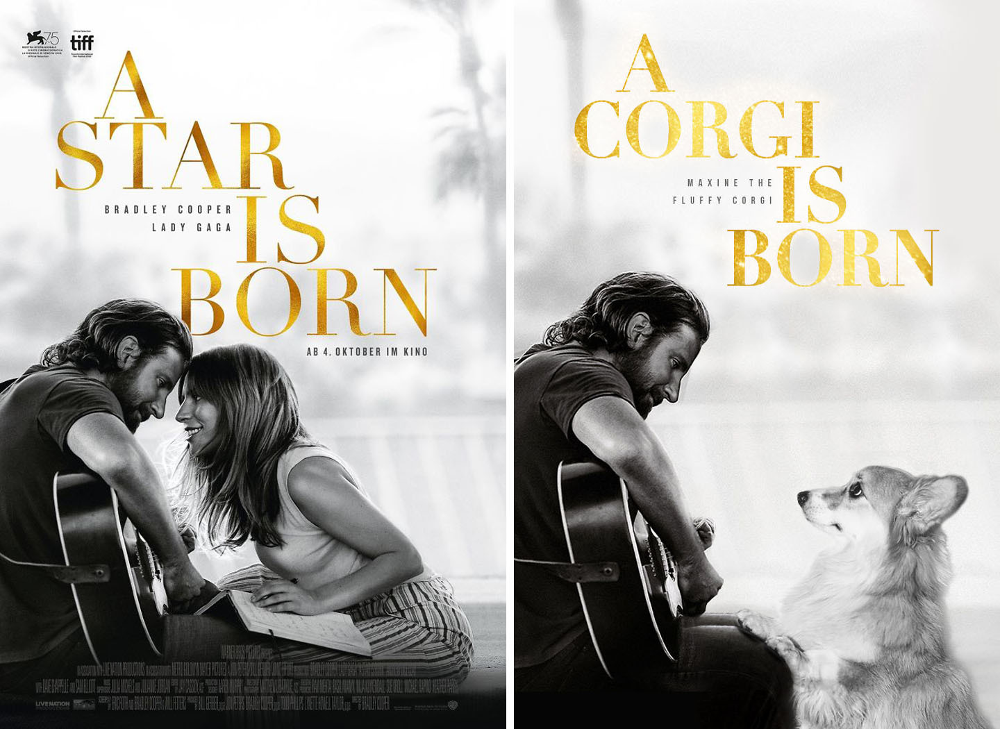 A Star Is Born - A Corgi Is Born