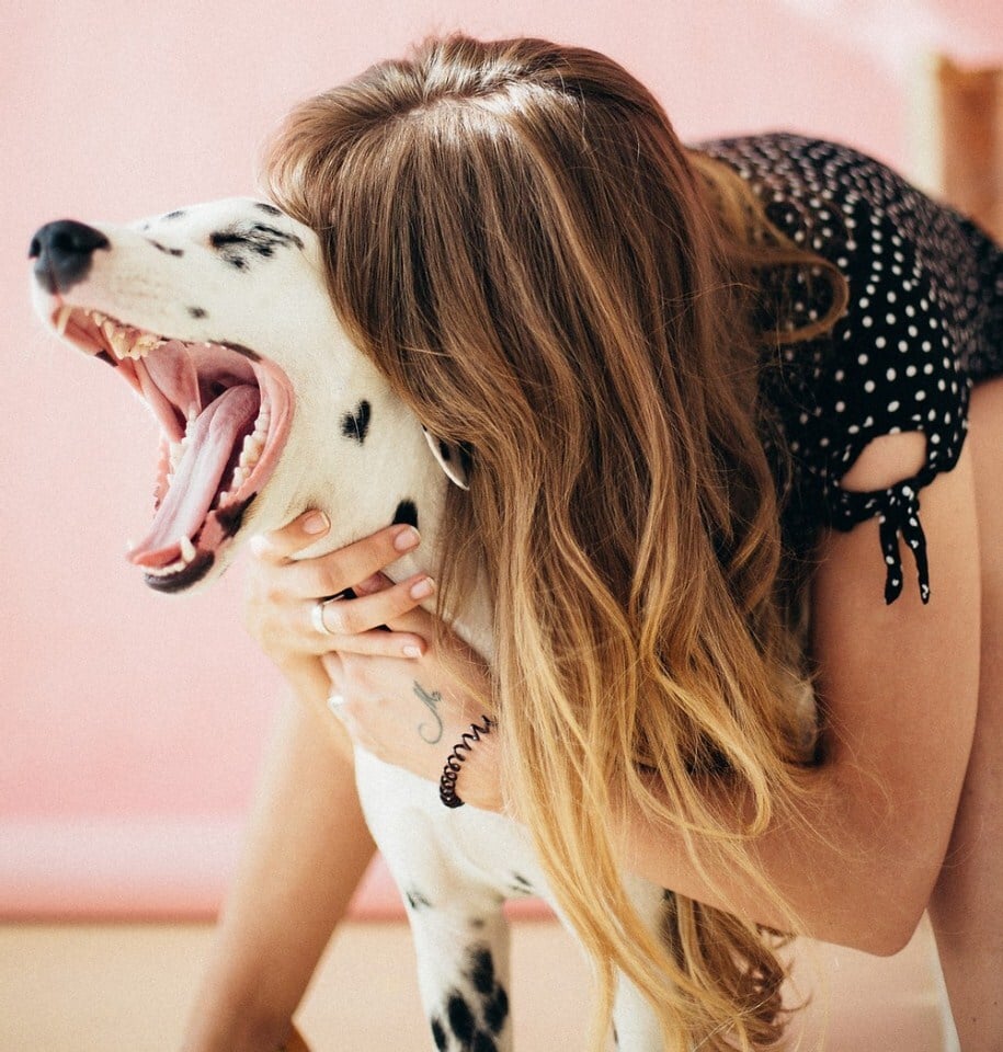 Ásítás kutyáknál - Szorongás és stressz jele is lehet, például, ha feszélyezi az ölelgetés