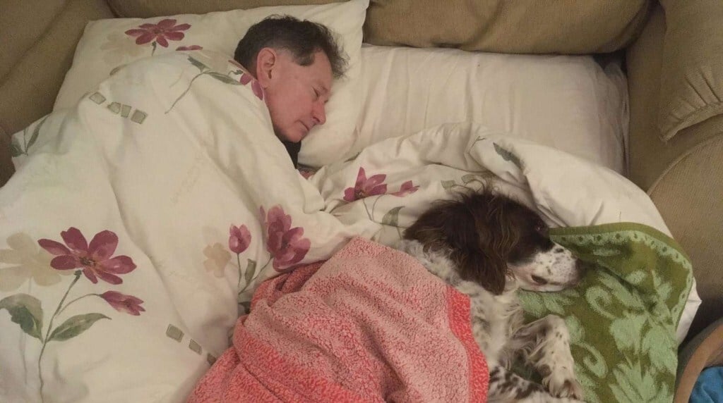 A családtagok felváltva alszanak a kanapén, hogy idős kutyájuk ne legyen egyedül