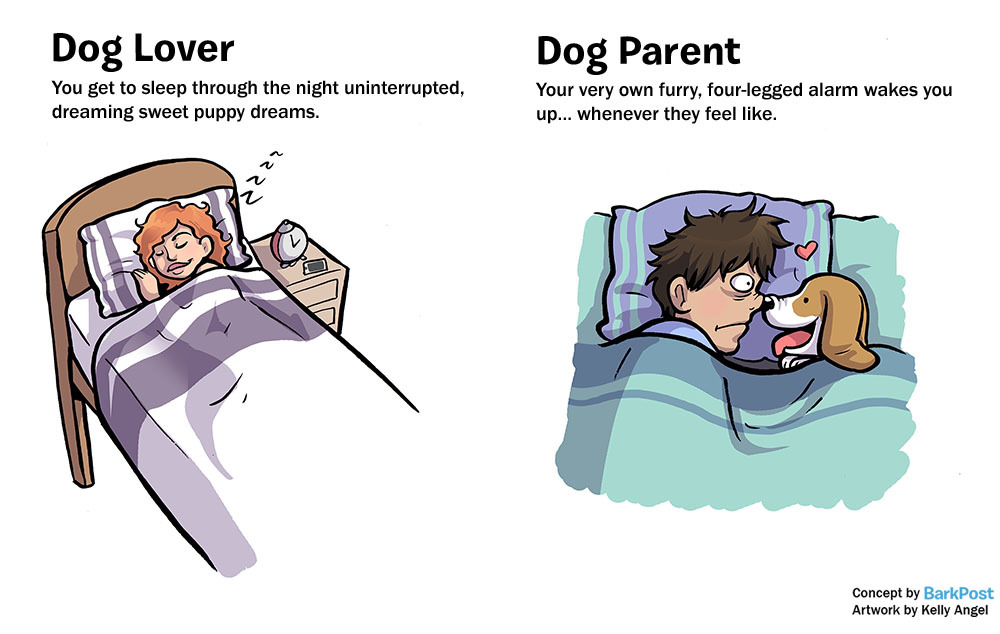 Alvás kutya nélkül és kutyával