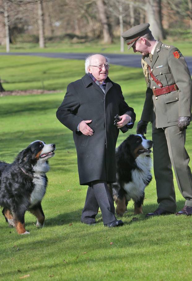 Michael D. Higgins, Írország miniszterelnöke és két berni pásztora, Síoda és Bród