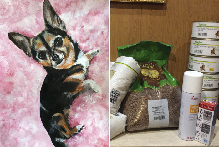 Élelem és állatgyógyászati készítmények menhelyi kutyáknak - nagylelkű adomány egy csodás festményért cserébe