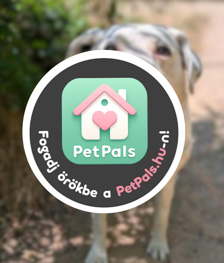 PetPals - Fogadj örökbe