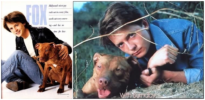 Michael J Fox és kutyája, Burnaby, a pitbull