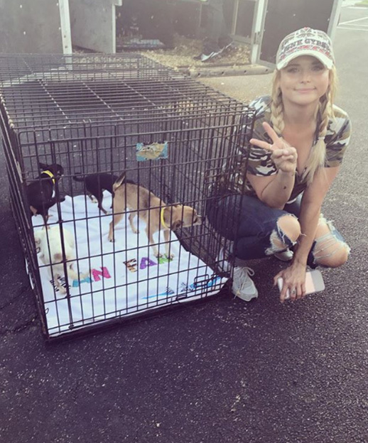 Miranda Lambert és a MuttNation Alapítvány több mint 200 kutyát hozott ki a katasztrófa sújtotta területről