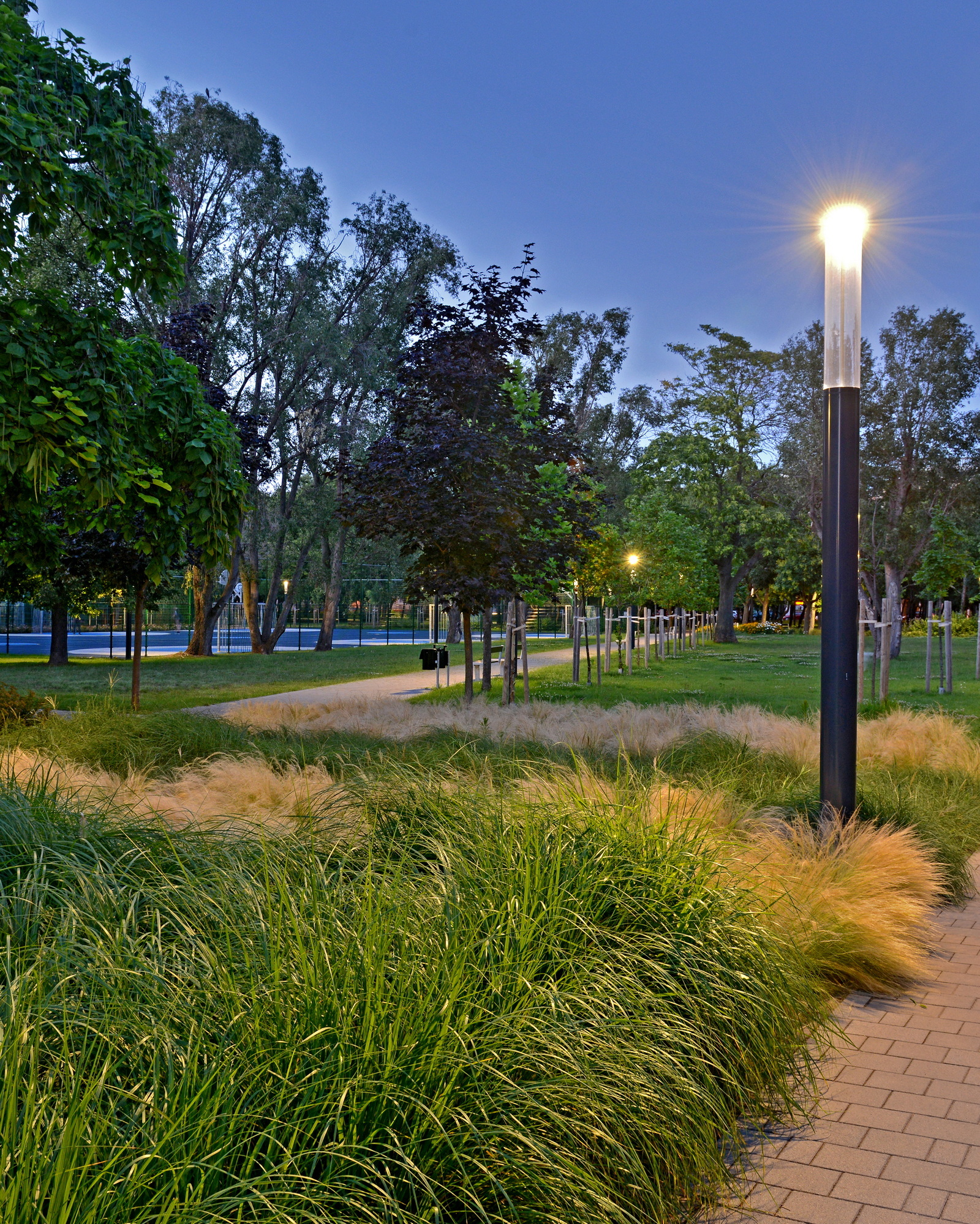 Pillangó park