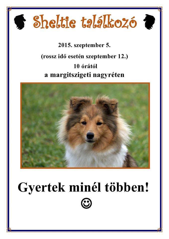 Sheltie találkozó