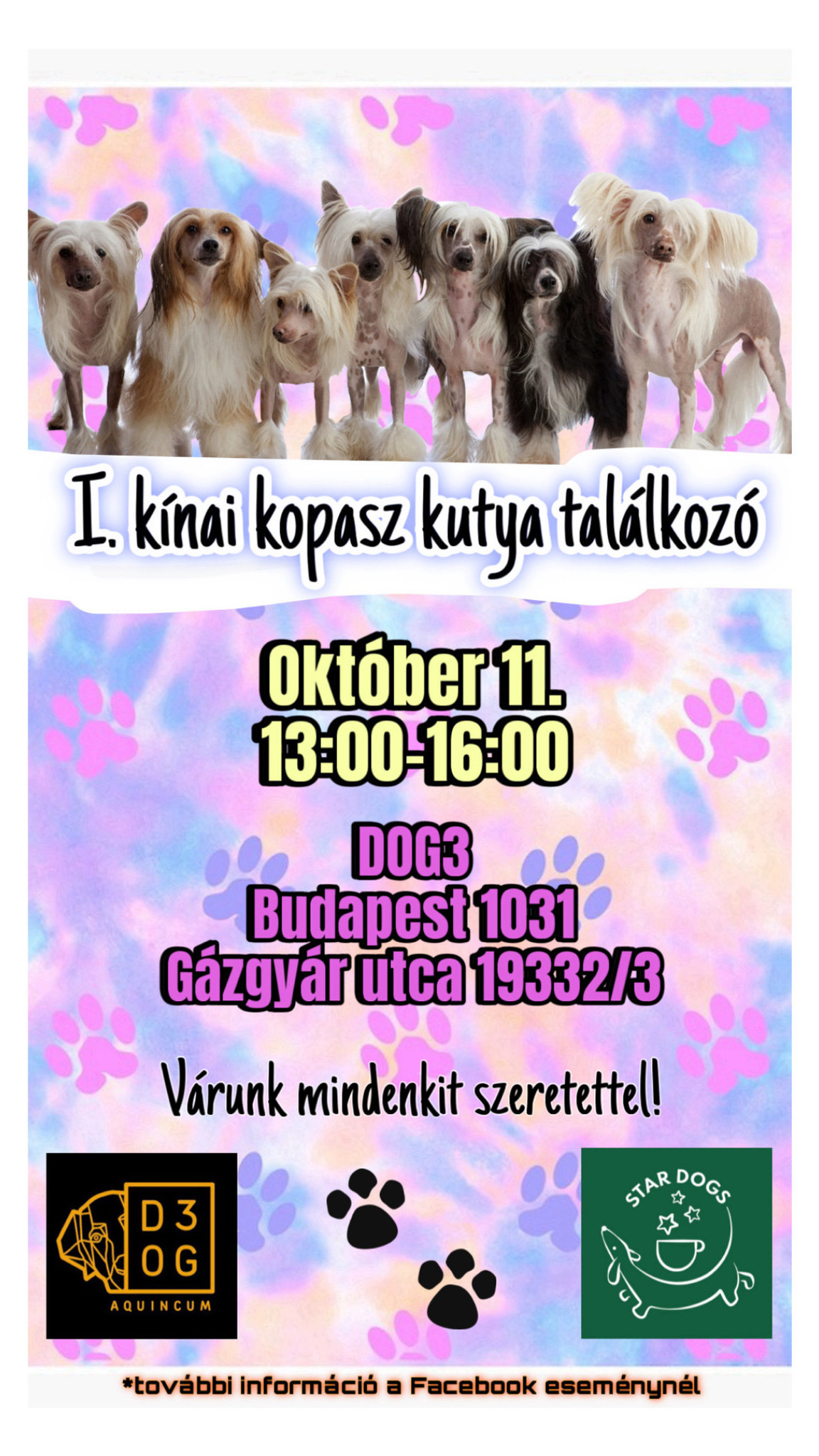 I. kínai kopasz kutya találkozó plakát