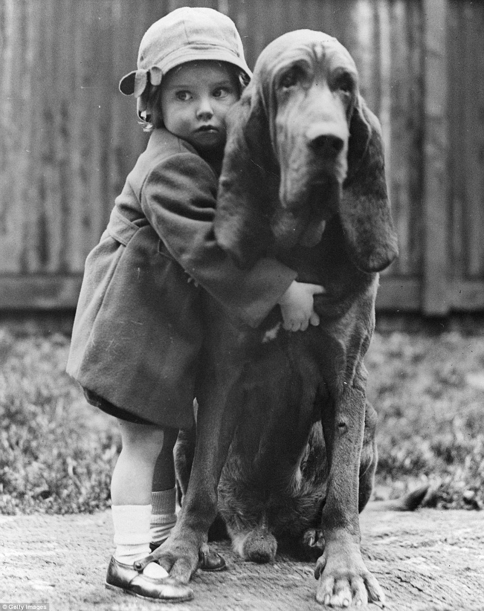 Kicsi gyerek nagy kutyával