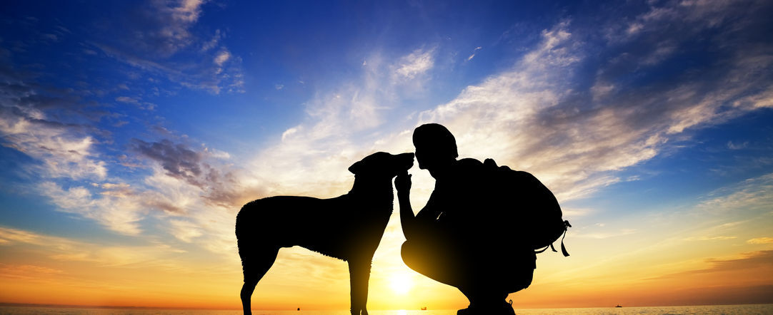 Különleges kapcsolat jöhet létre kutya és gazdája között