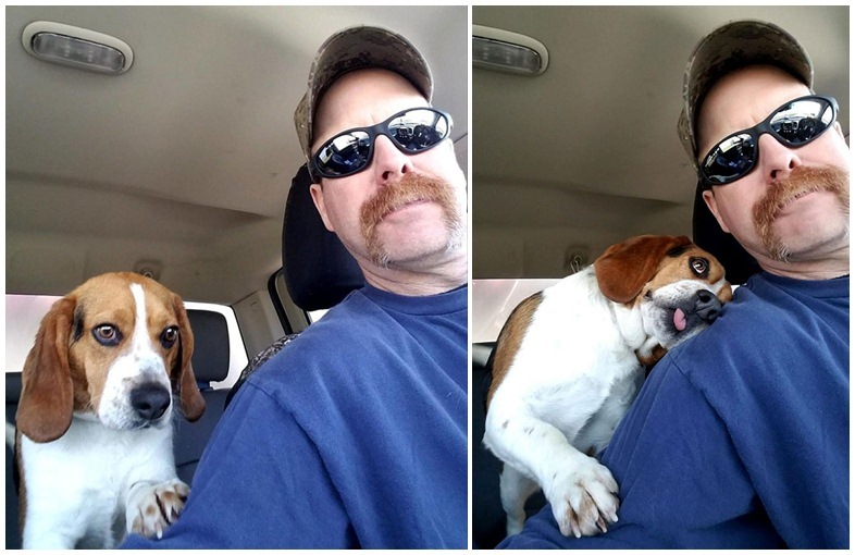 Gregory, a beagle egy nagy öleléssel köszönte meg, hogy megmentették az altatás elől