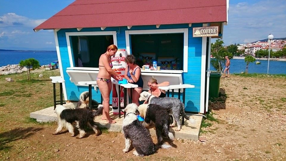 Egy tengerparti bár, ahol gazdi és kutya is talál finom falatokat