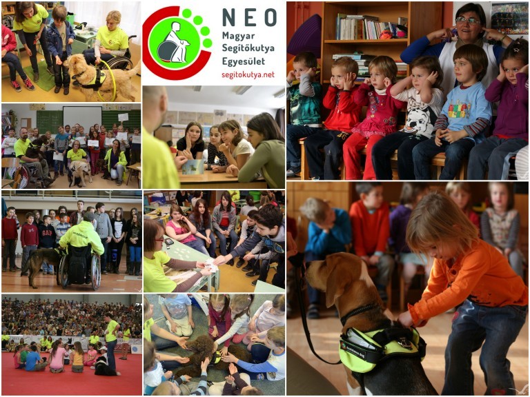 Iskolai érzékenyítő program a NEO Magyar Segítőkutya Egyesülettel