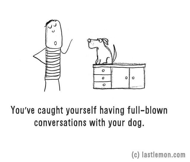 Beszélgetsz a kutyáddal. Ismerős?