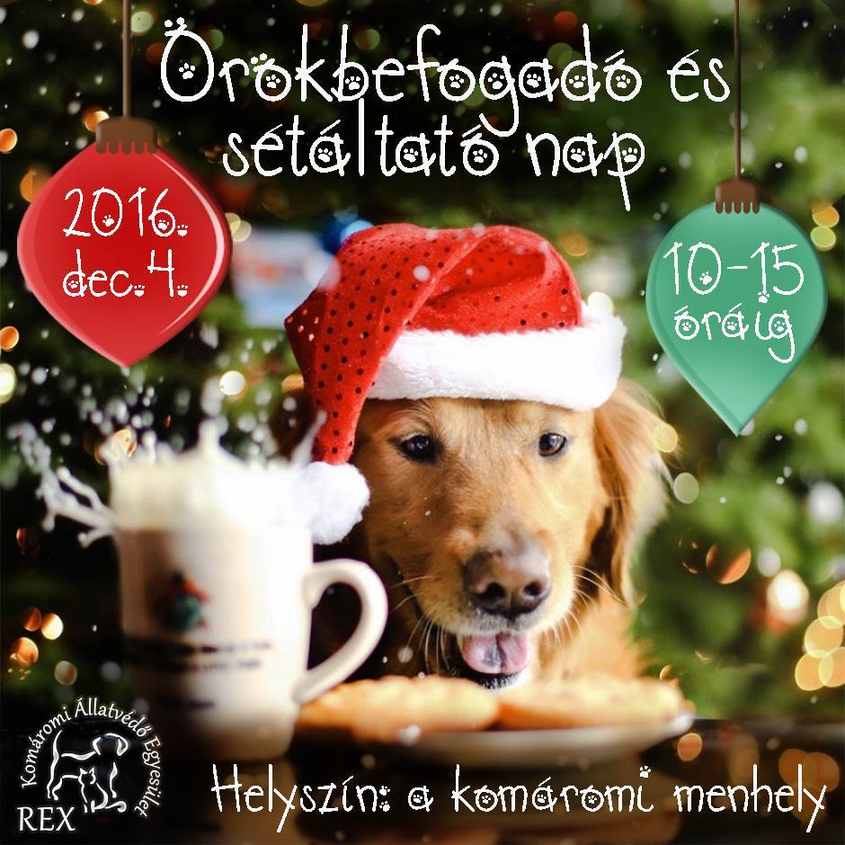 Örökbefogadó és Sétáltató Nap a komáromi menhelyen!