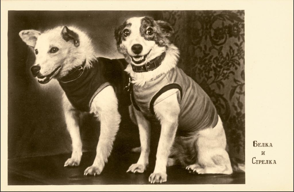 Belka és Strelka - Az első kutyák, akik sikeresen visszatértek az űrből