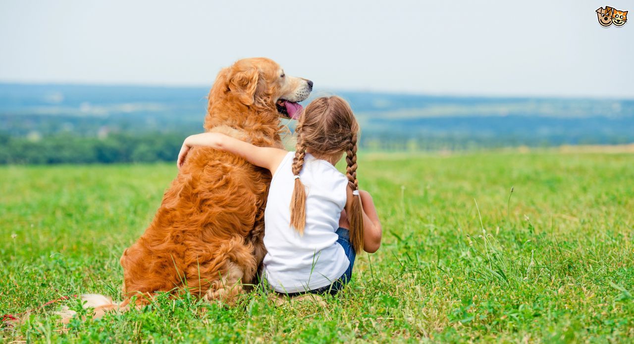 Kutya és gyerek között nagyon szoros barátság alakulhat ki!