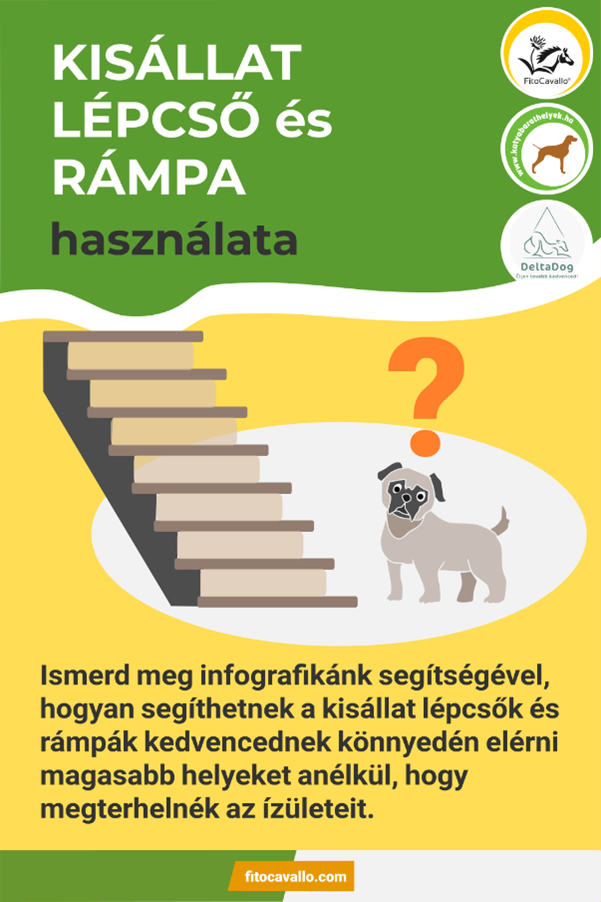 Kisállat rámpa és lépcső - 