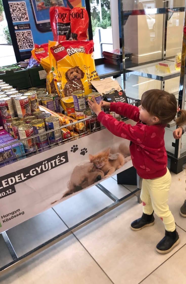 Hangya kösség élelemgyűjtés az ALDI-ban gyerek is adományoz