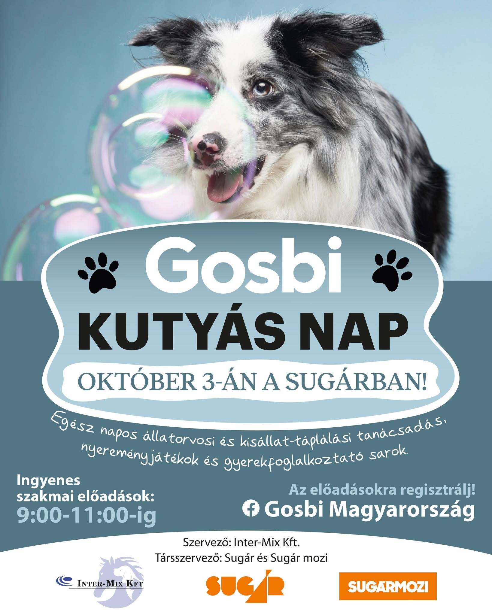 Gosbi kutyás nap a Sugárban