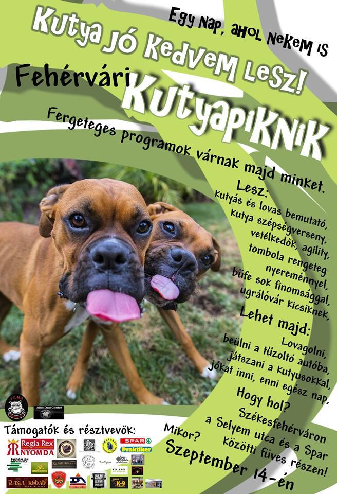 fehérvári kutyapiknik