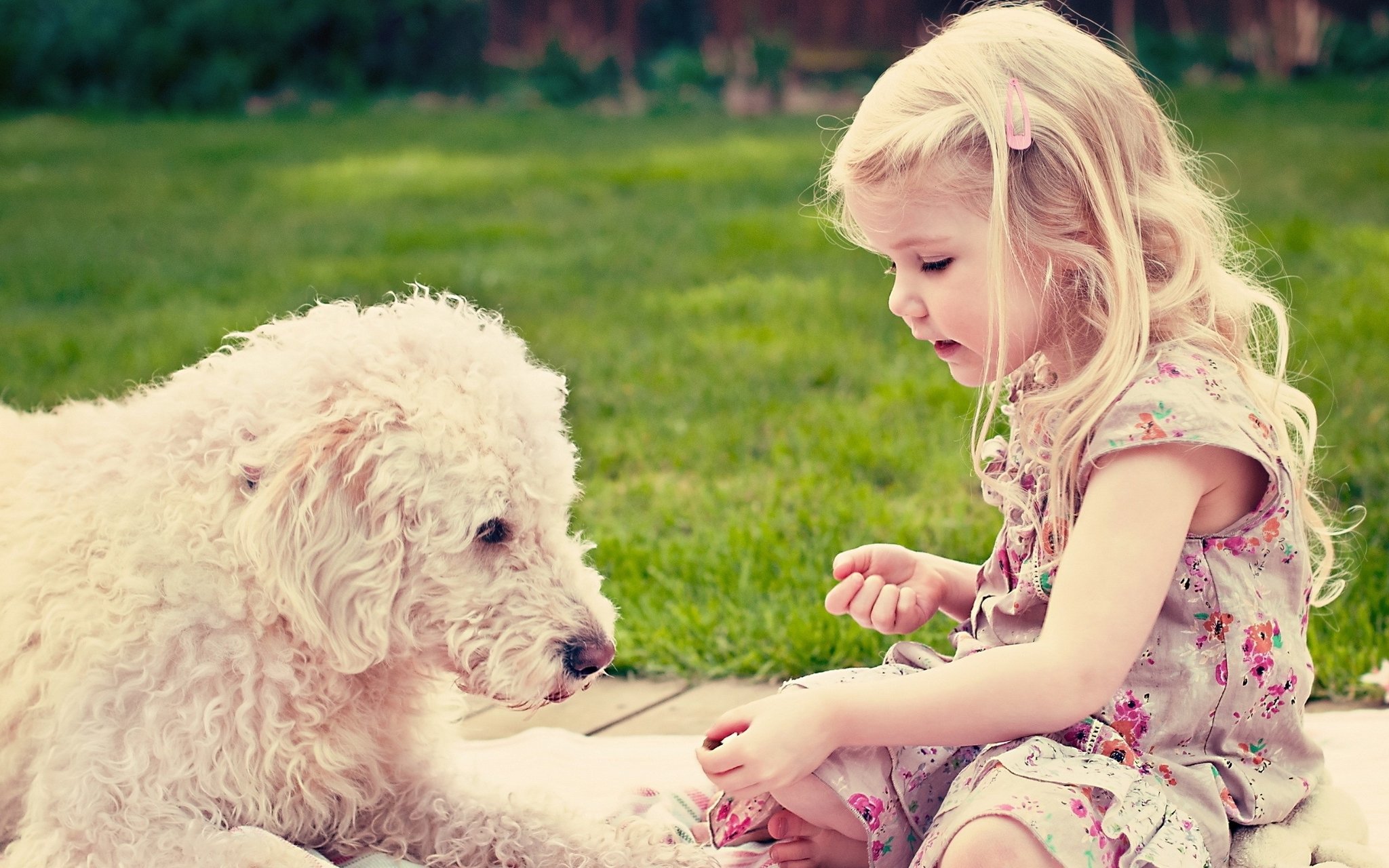 A kutyák hihetetlenül türelmesen képesek kezelni a gyerekeket