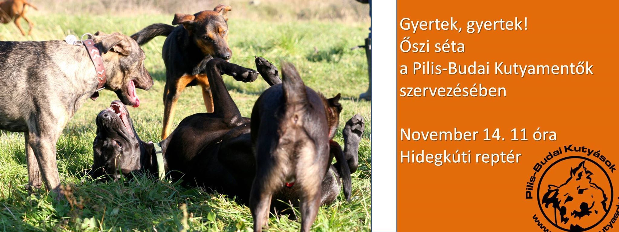  Kutyaséta a Pilis-Budai Kutyamentő Egyesülettel