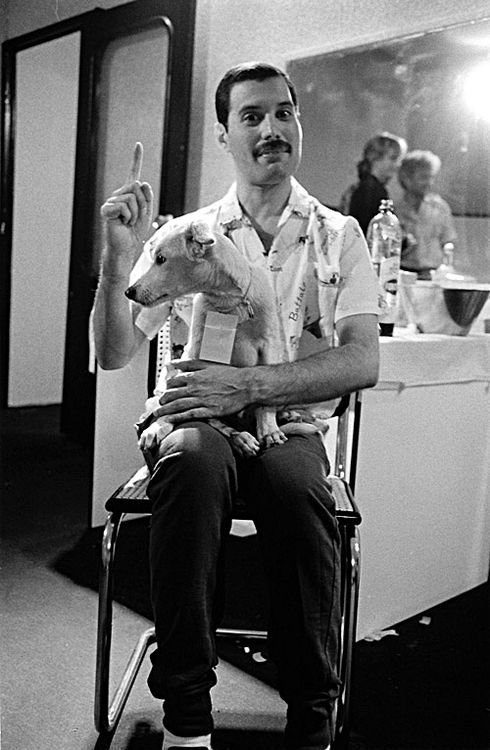 Freddie Mercury egy kutyával Freddie Mercury egy kutyával