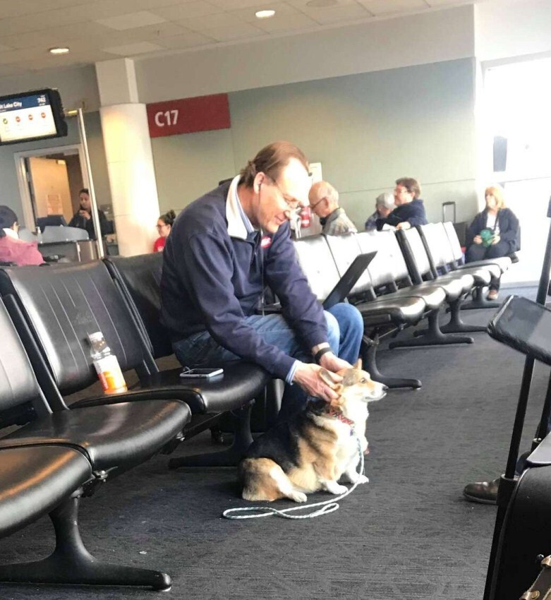 Odaült a gyászoló férfi lábához a terápiás kutya