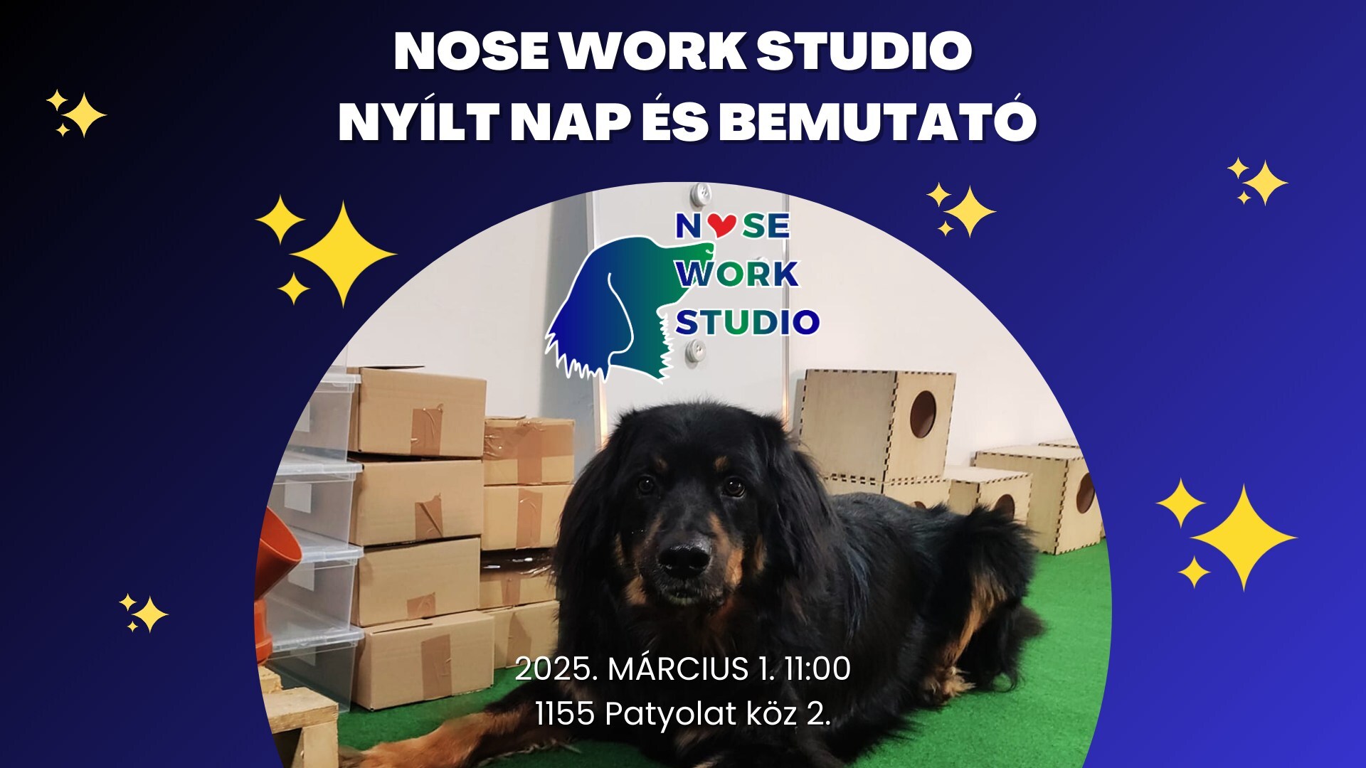 nose work studio nyílt nap nose work studio nyílt nap