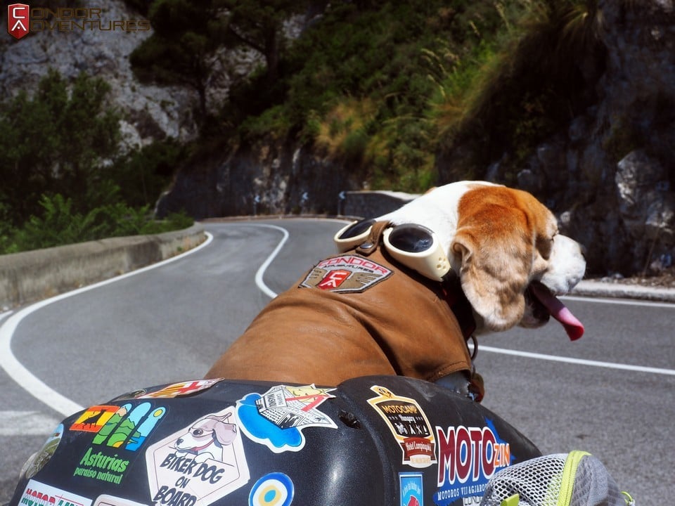 Olaszországi körút egy kutyával a motoron - az út bővelkedik izgalmakban!