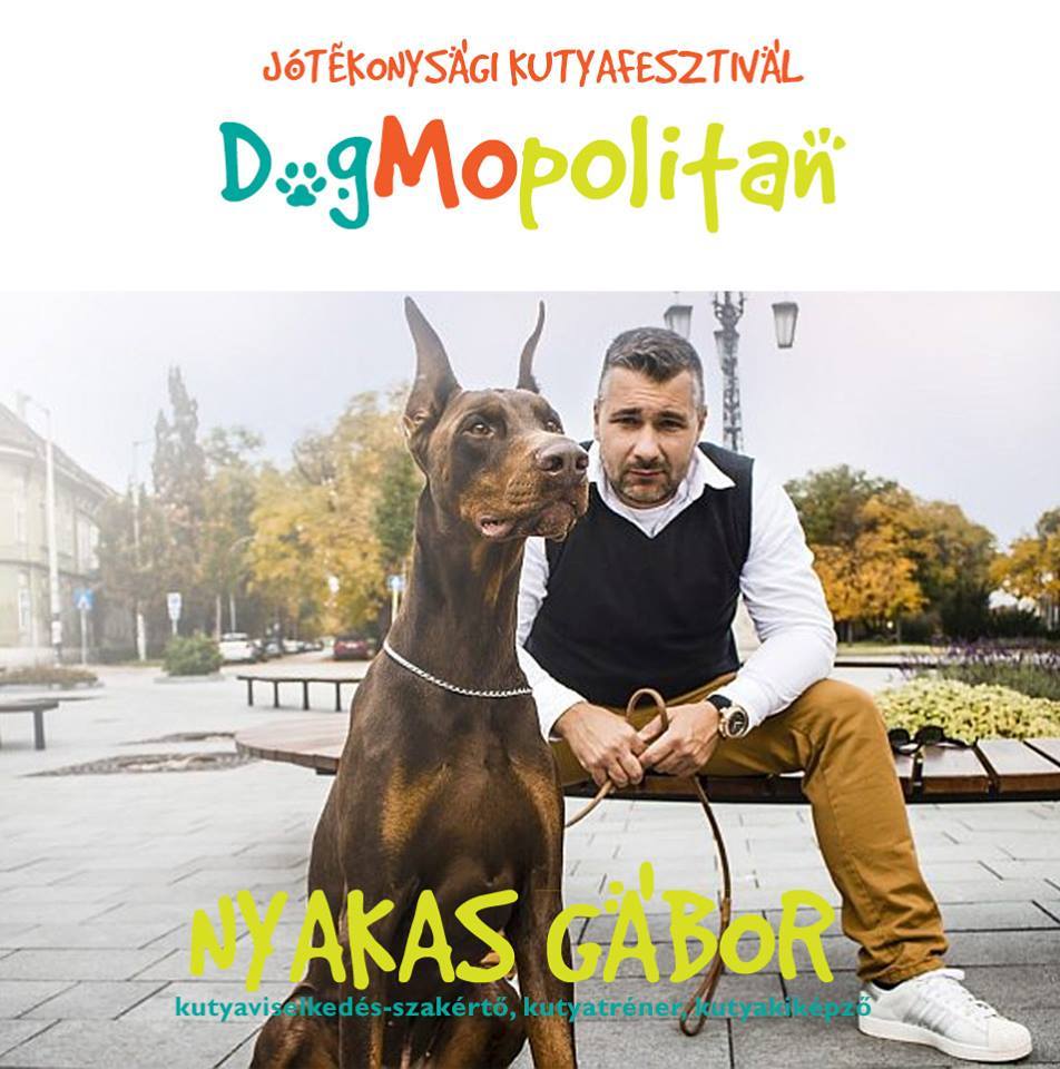 Több neves szakértő, köztük Nyakas Gábor is tart előadást a DogMopolitan Jótékonysági Kutyafesztiválon