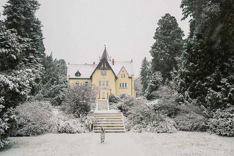 szeleste arborétum