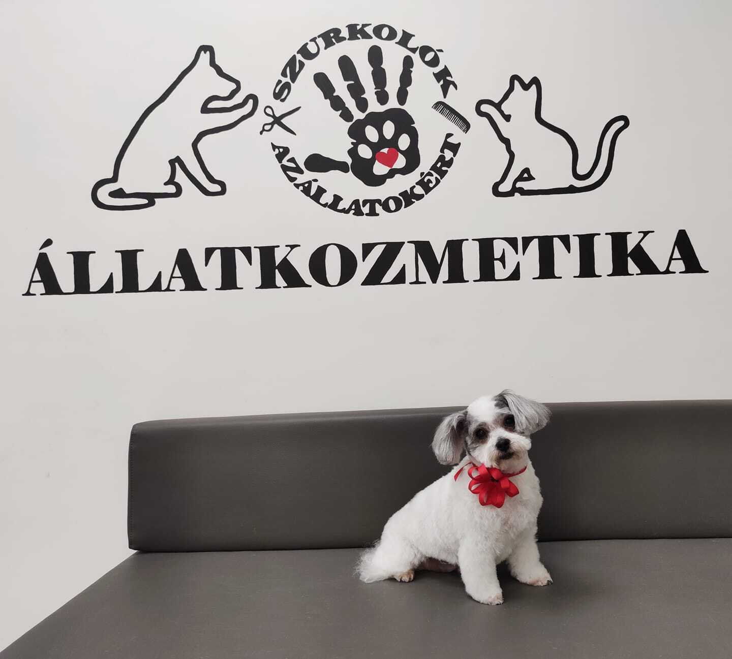 Kutyakozmetikát nyitottak a Szurkolók - a bevétel állatvédelmi célokat támogat