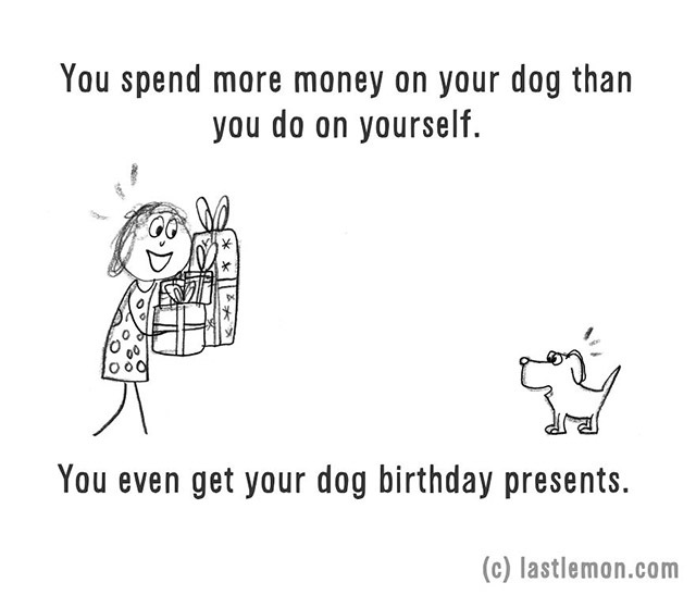 Minden pénzed a kutyádra költöd.