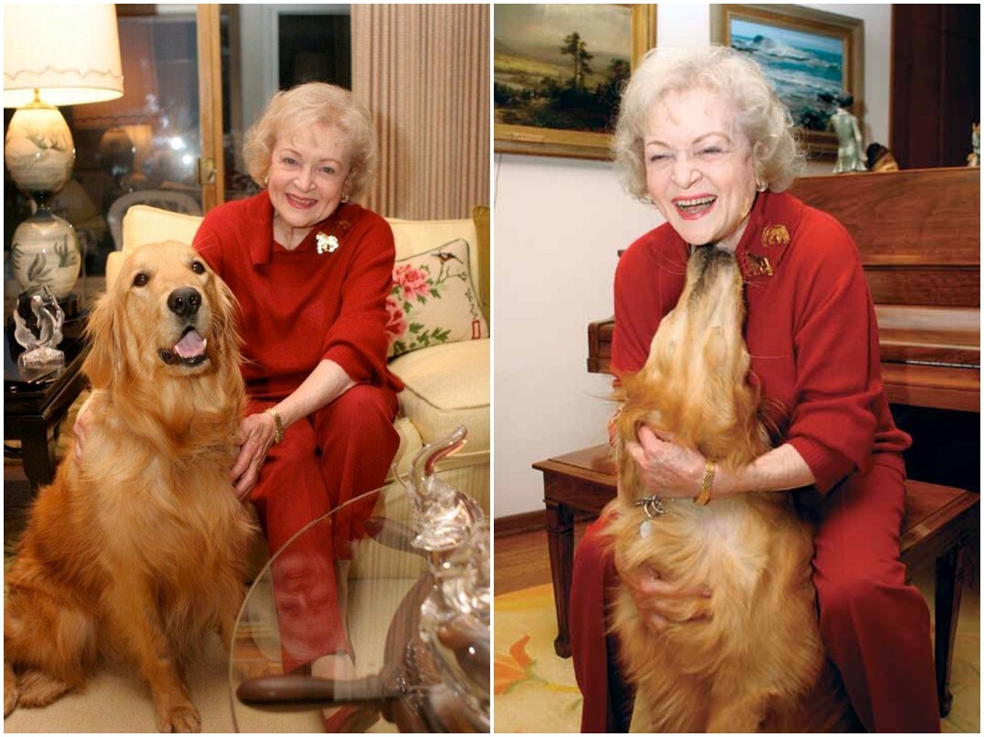 Betty White és hűséges kutyája, Pontiac, a golden retriever