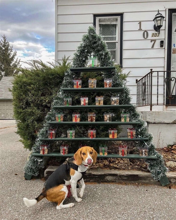 Adventi naptár várja a kutyákat egy kanadai ház előtt