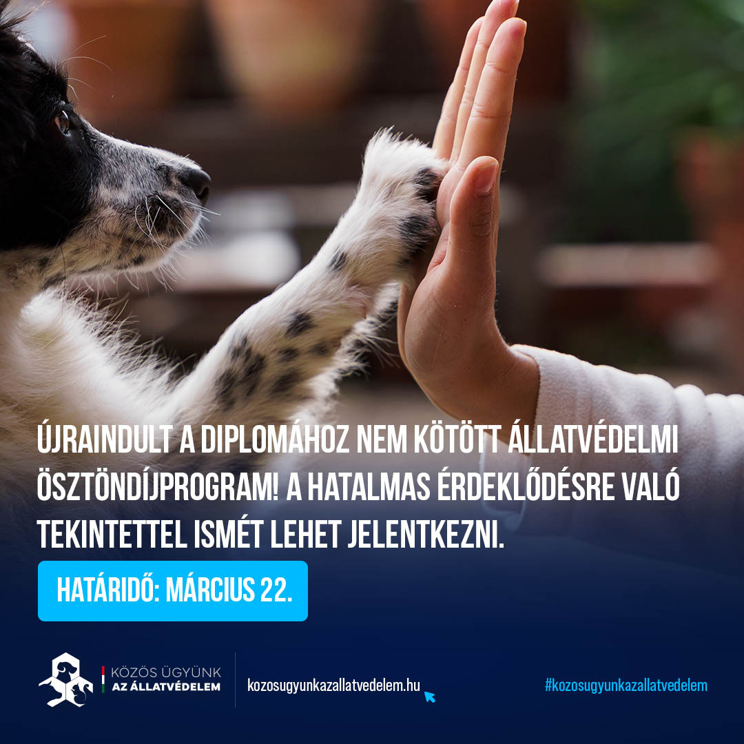 ÚJRAINDULT AZ ÁLLATVÉDELMI ÖSZTÖNDÍJPROGRAM ÚJRAINDULT AZ ÁLLATVÉDELMI ÖSZTÖNDÍJPROGRAM