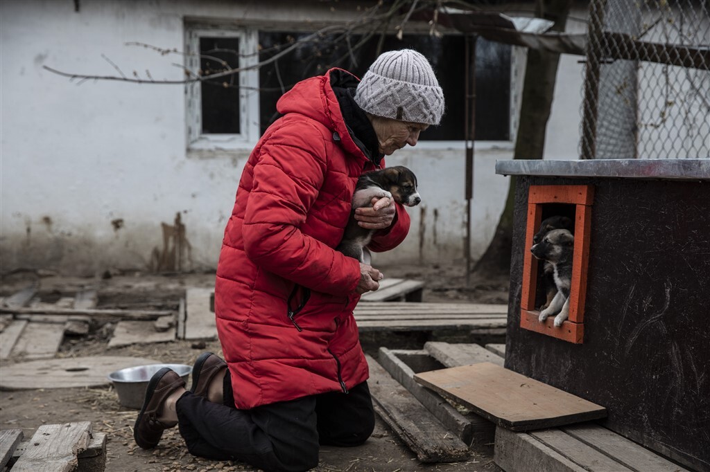 A 77 éves ukrán asszony a menhelyen született kölykökről is gondoskodik