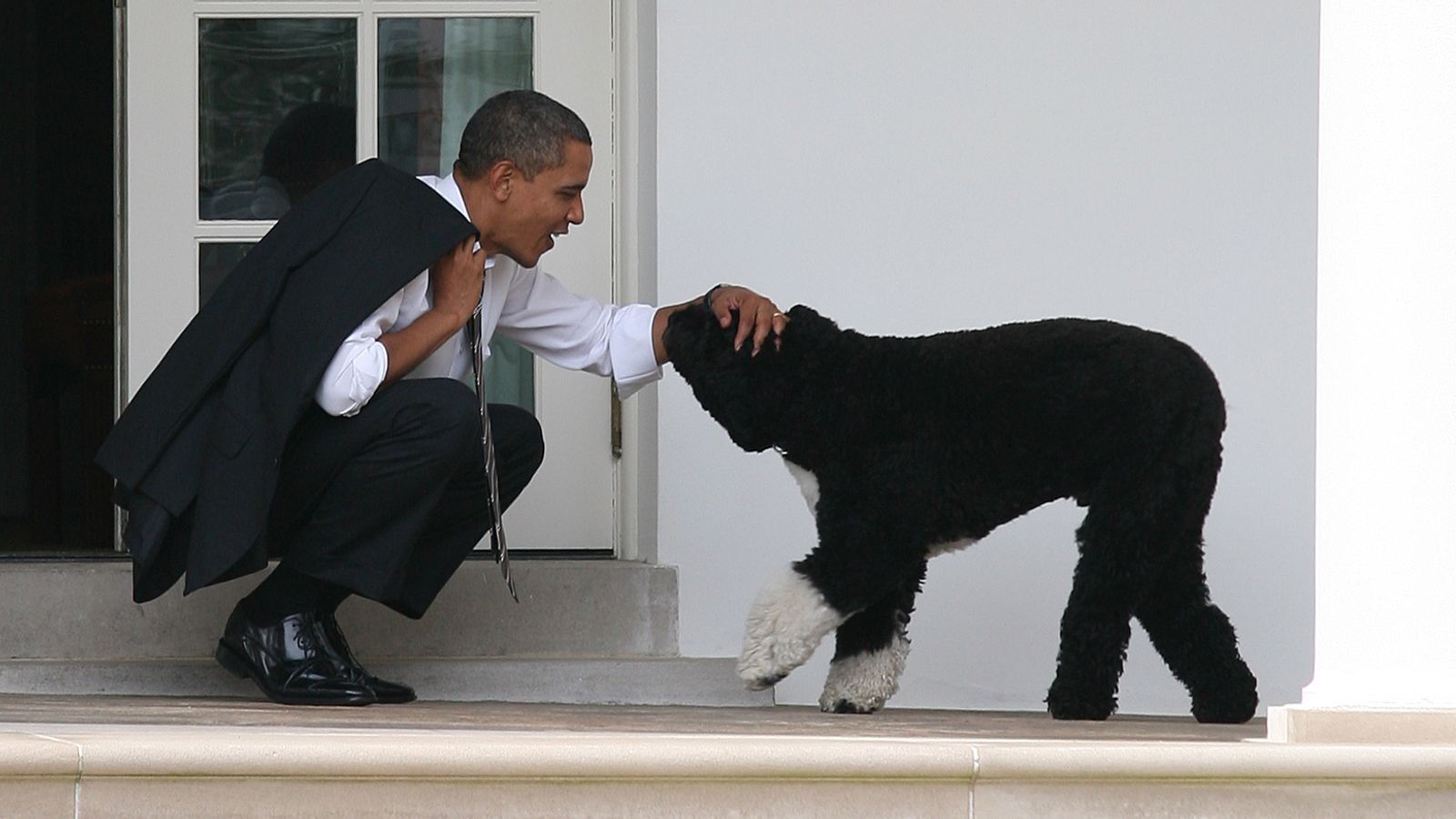 Barack Obama és egyik kutyája