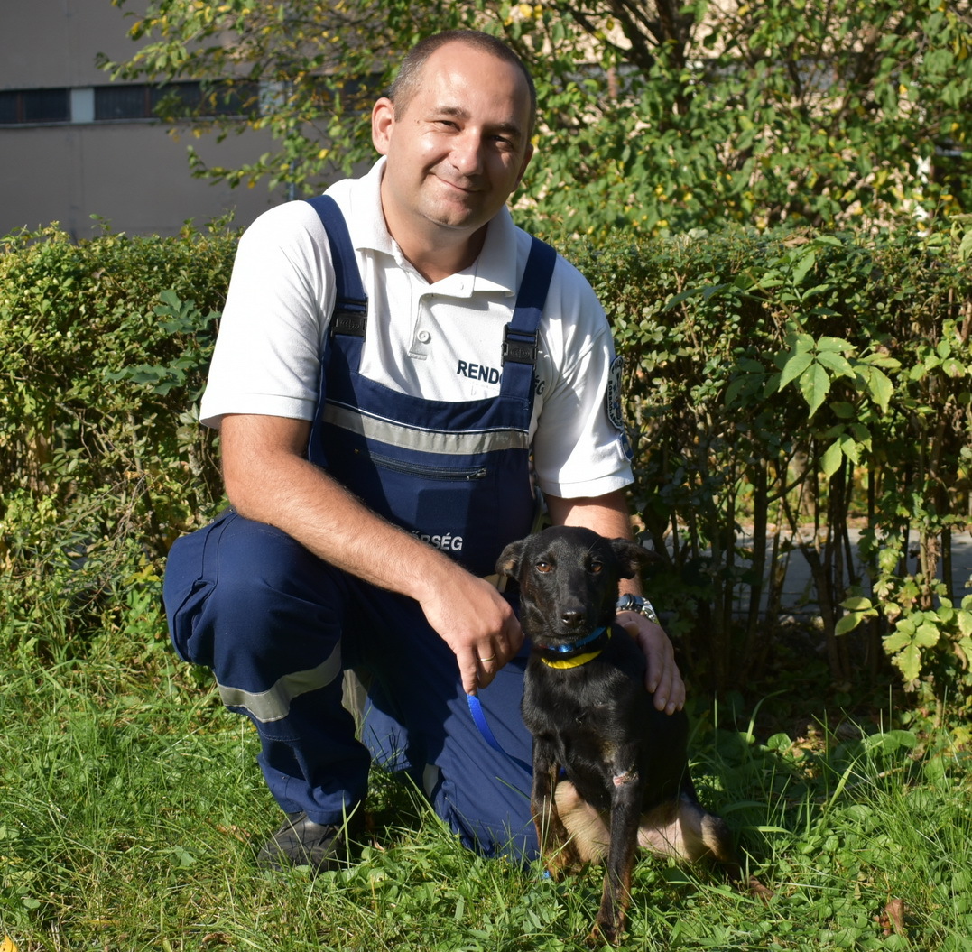A Tiszaújvárosi Rendőrkapitányság munkatársa, Uhrin Tamás r. főtörzsőrmester fogadta örökbe a Csipesz névre keresztelt kutyát