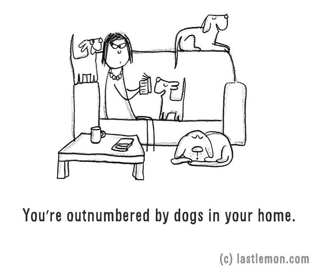 Kutyáid létszámbeli fölényben vannak a lakásodban