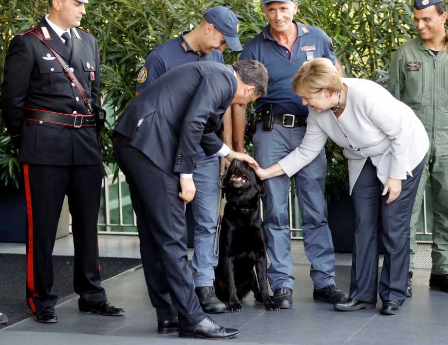 Angela Merkellel is találkozott a labrador